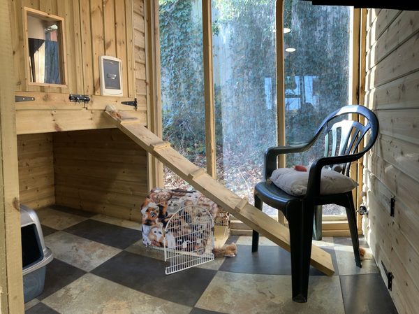 Jeff Borg Catering/ Purbrook Cattery Co Ltd