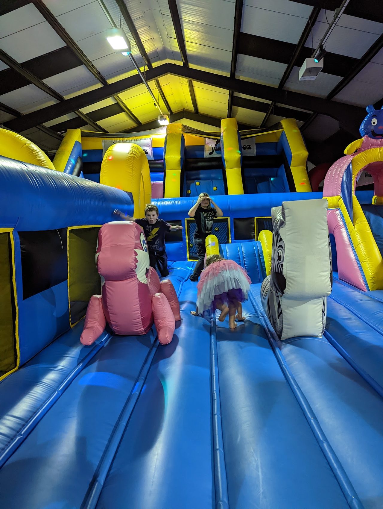 Jumparooz Inflatable Play Park