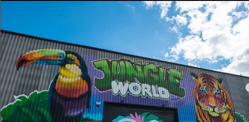 Jungle World
