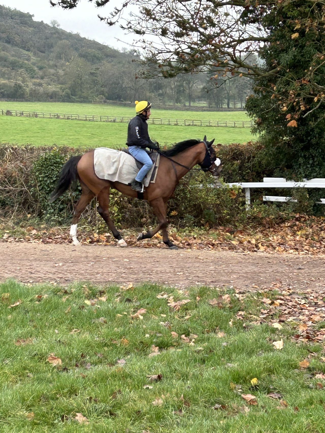 Kingsclere Training Stables
