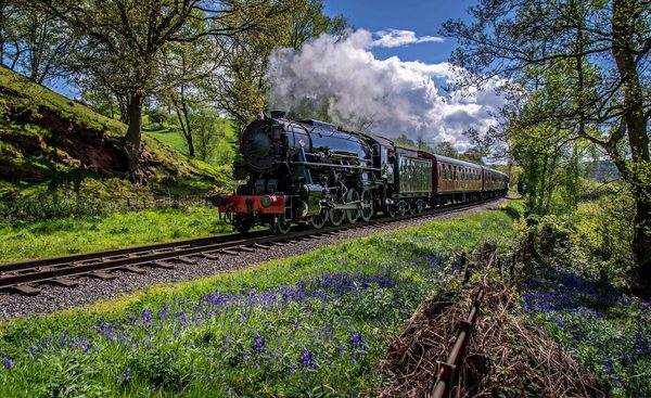 KINGSLEY AND FROGHALL TEAROOMS