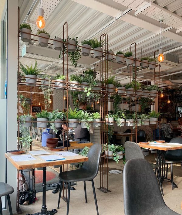 La Cocina and Cane & Rye