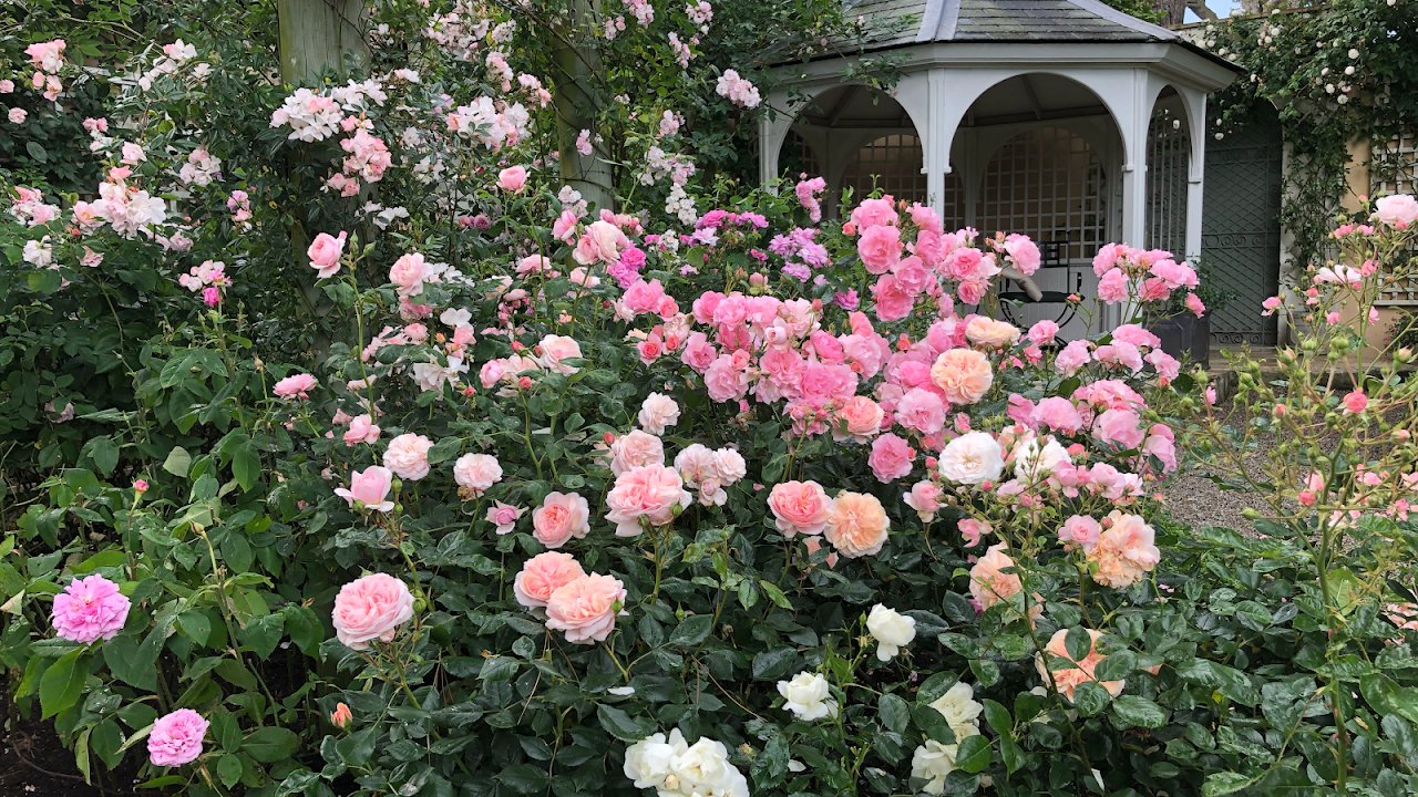 Lamorran Garden