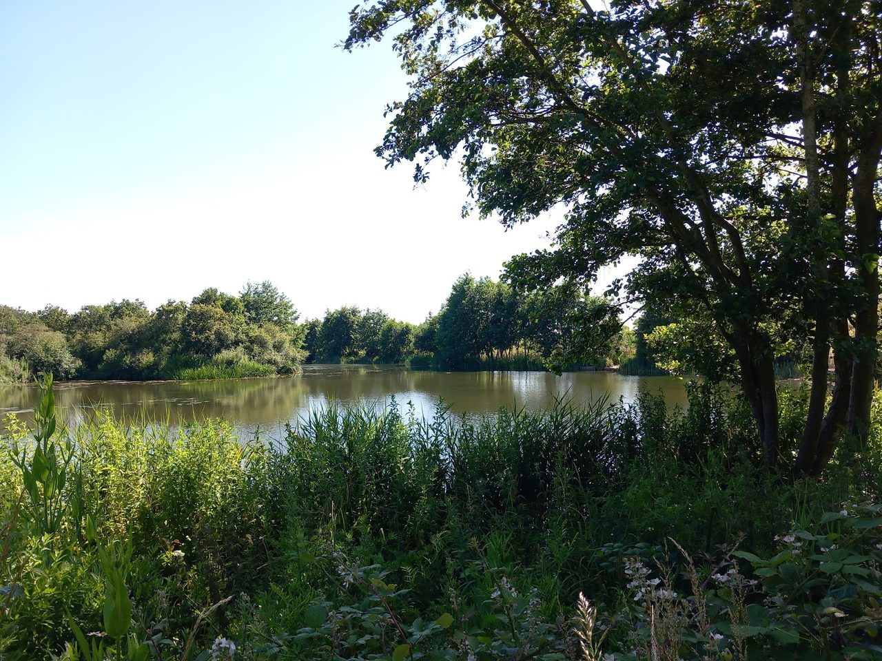 Langdon Nature Discovery Centre