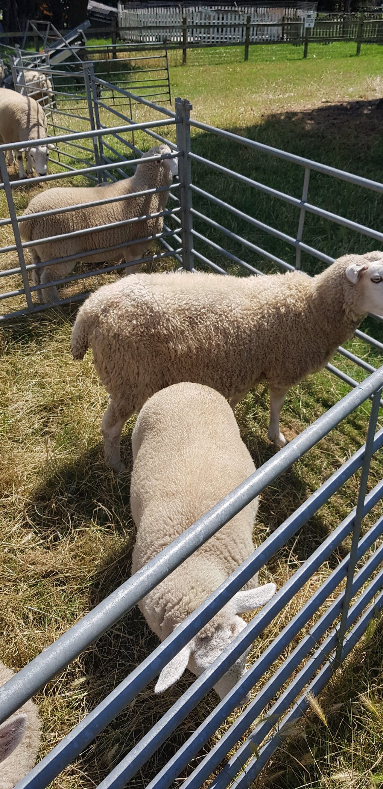 Langleybury Farm