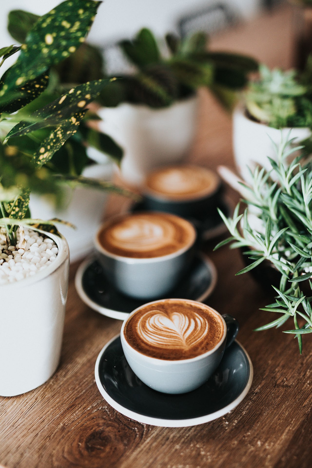Lavender Cafe Ltd