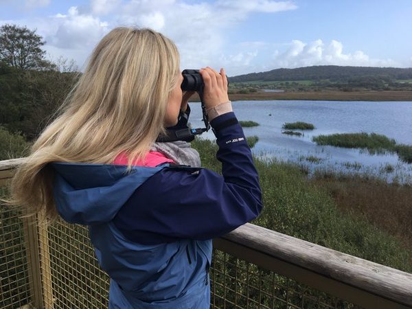 Leighton Moss Cafe