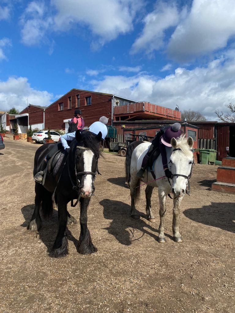 Littlebourne Equestrian Centre