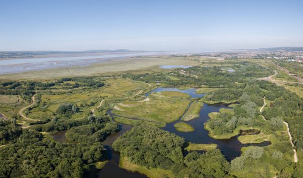 Llanelli WETLAND CENTRE