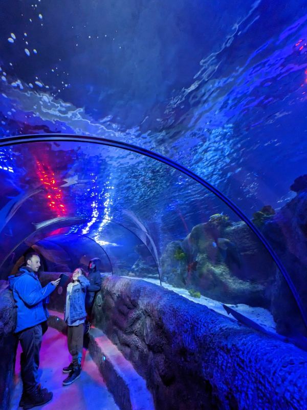 Loch Lomond Aquarium