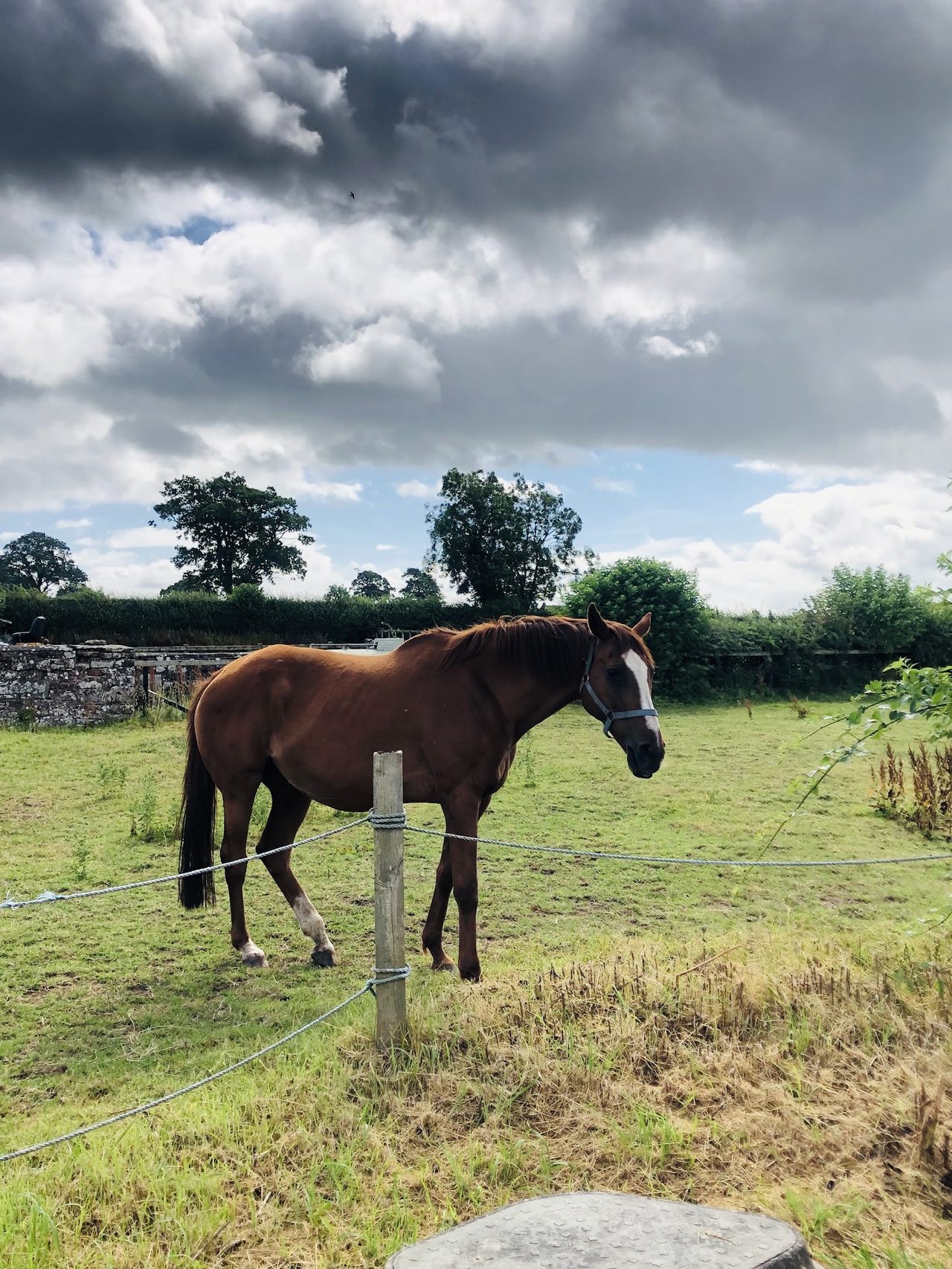 Lough Farm Cafe