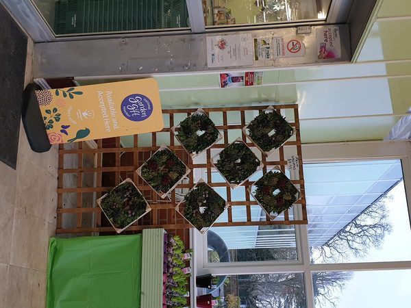 Lound Plant Centre