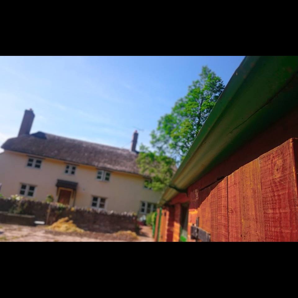 Lower Halsdon Farm
