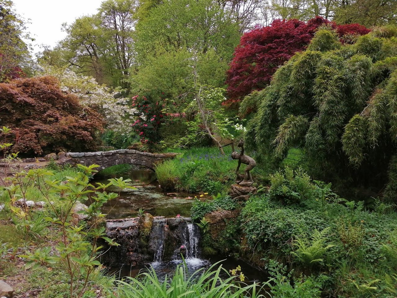 Lukesland Garden Tea Room