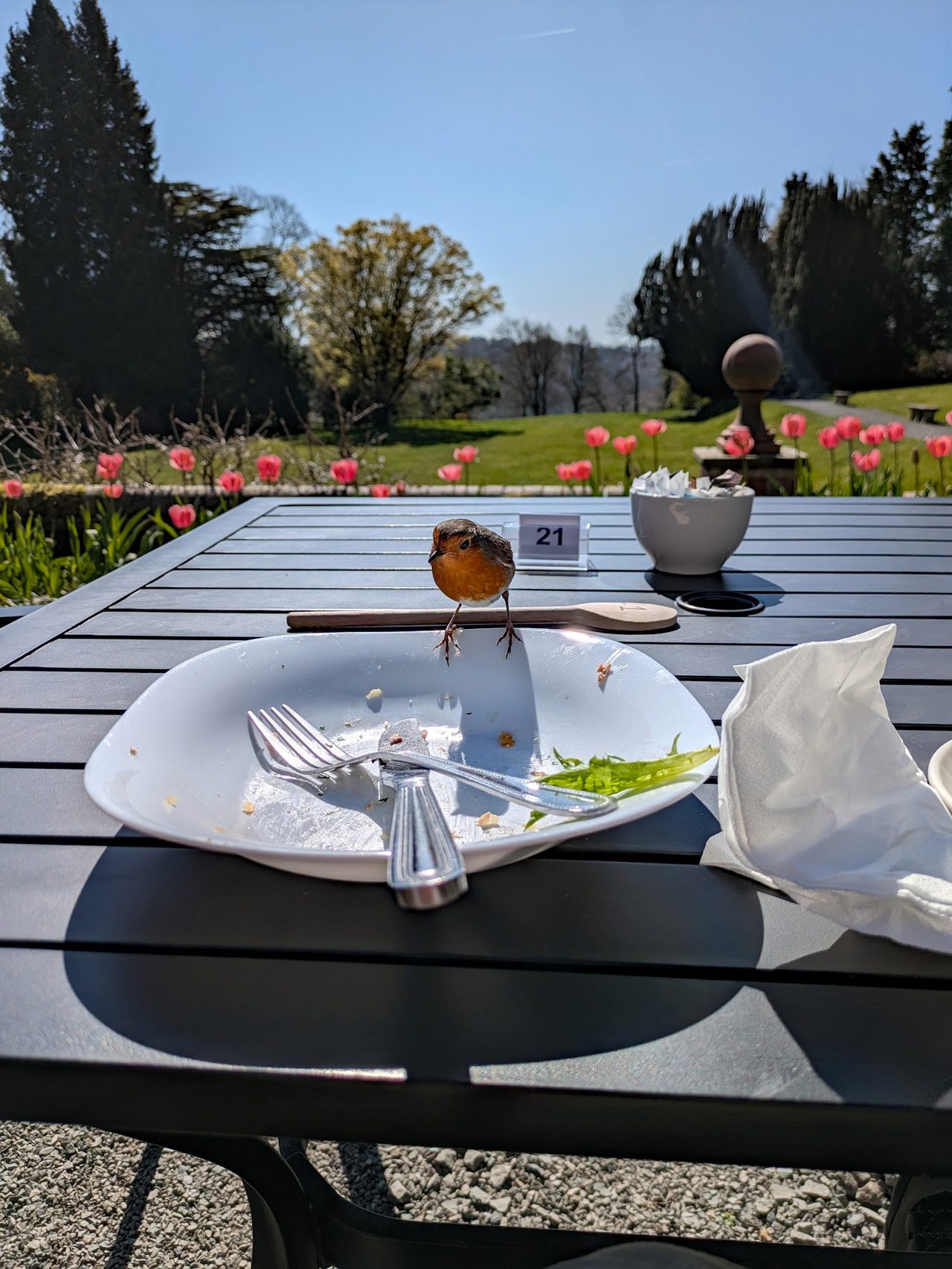 Maples Tearoom