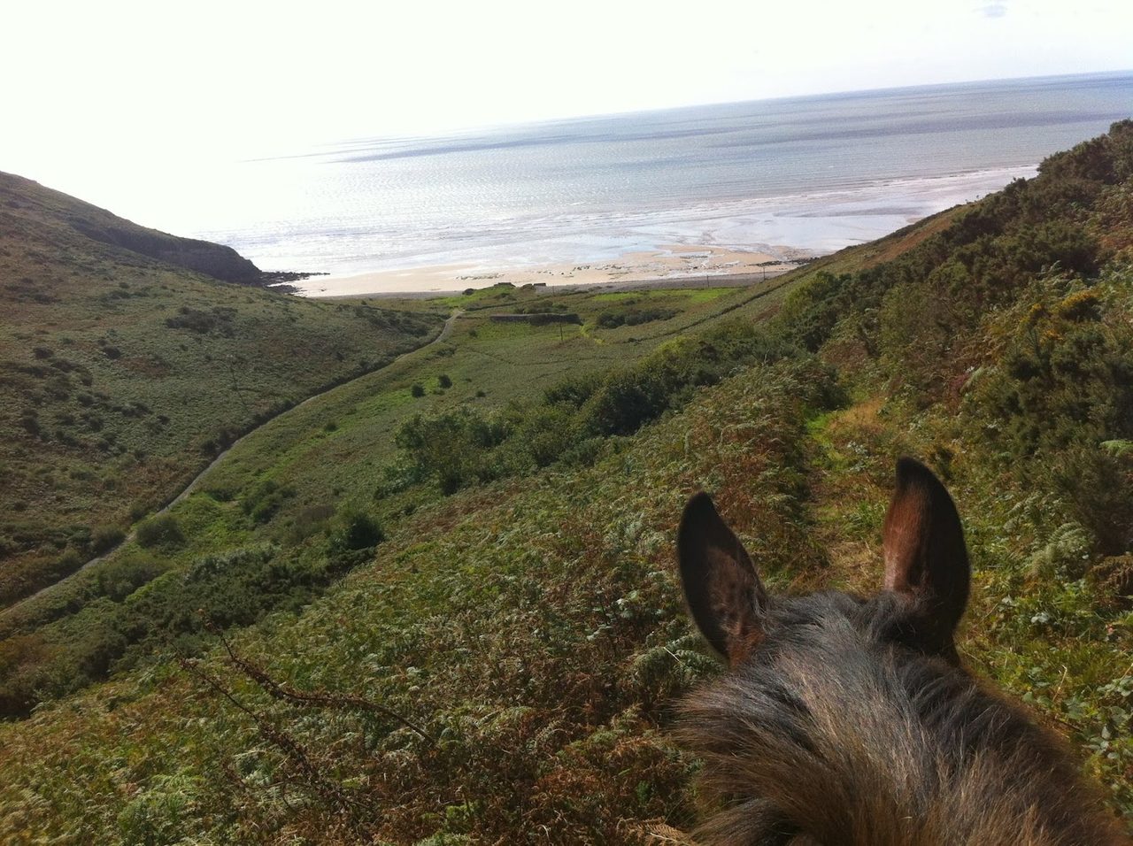 MARROS RIDING CENTRE