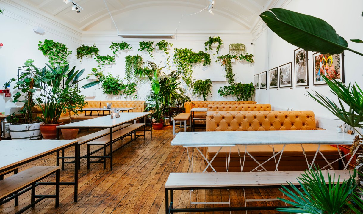 Medicine Bakery Birmingham