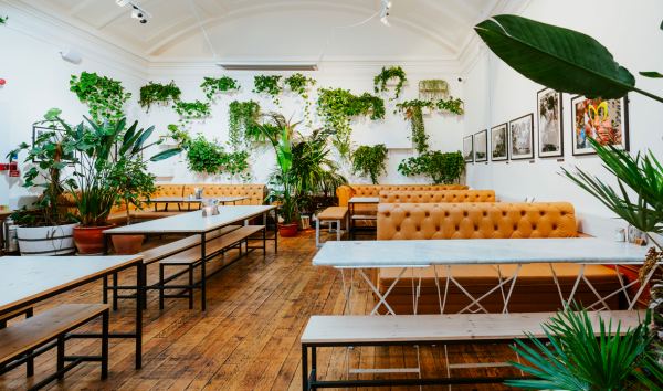 Medicine Bakery Birmingham