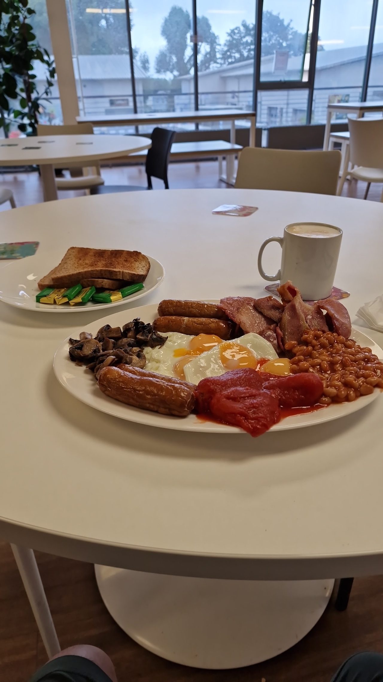Meet and Eat Cafe