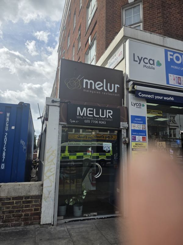 Melur