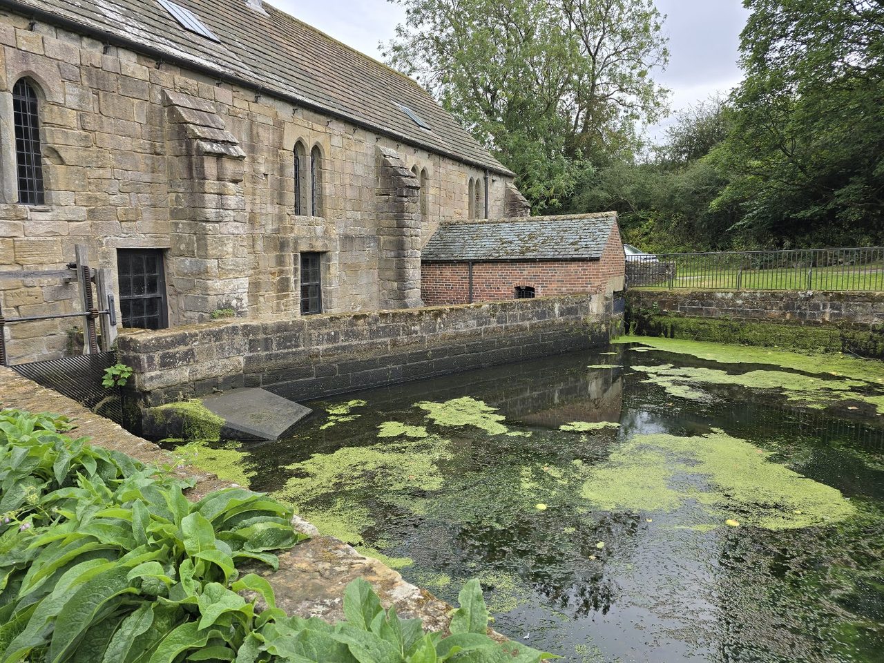 Mill Cafe