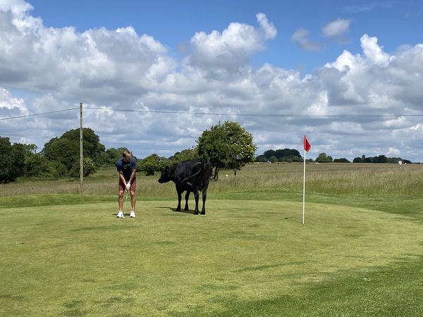 Minchinhampton Old Golf Course Restaurant
