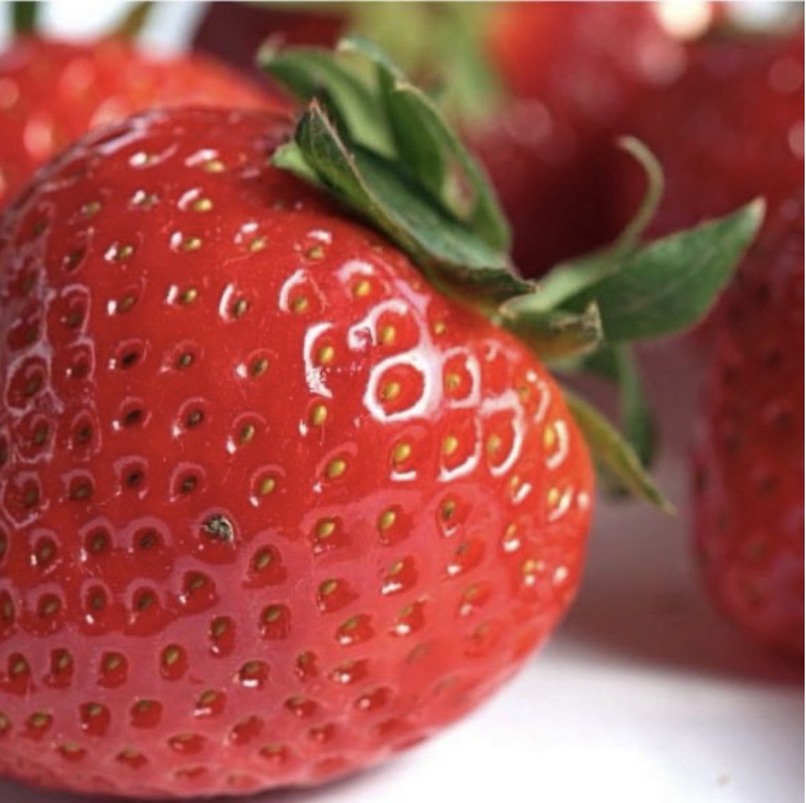 Mitchell Fruit Garden And Cafe