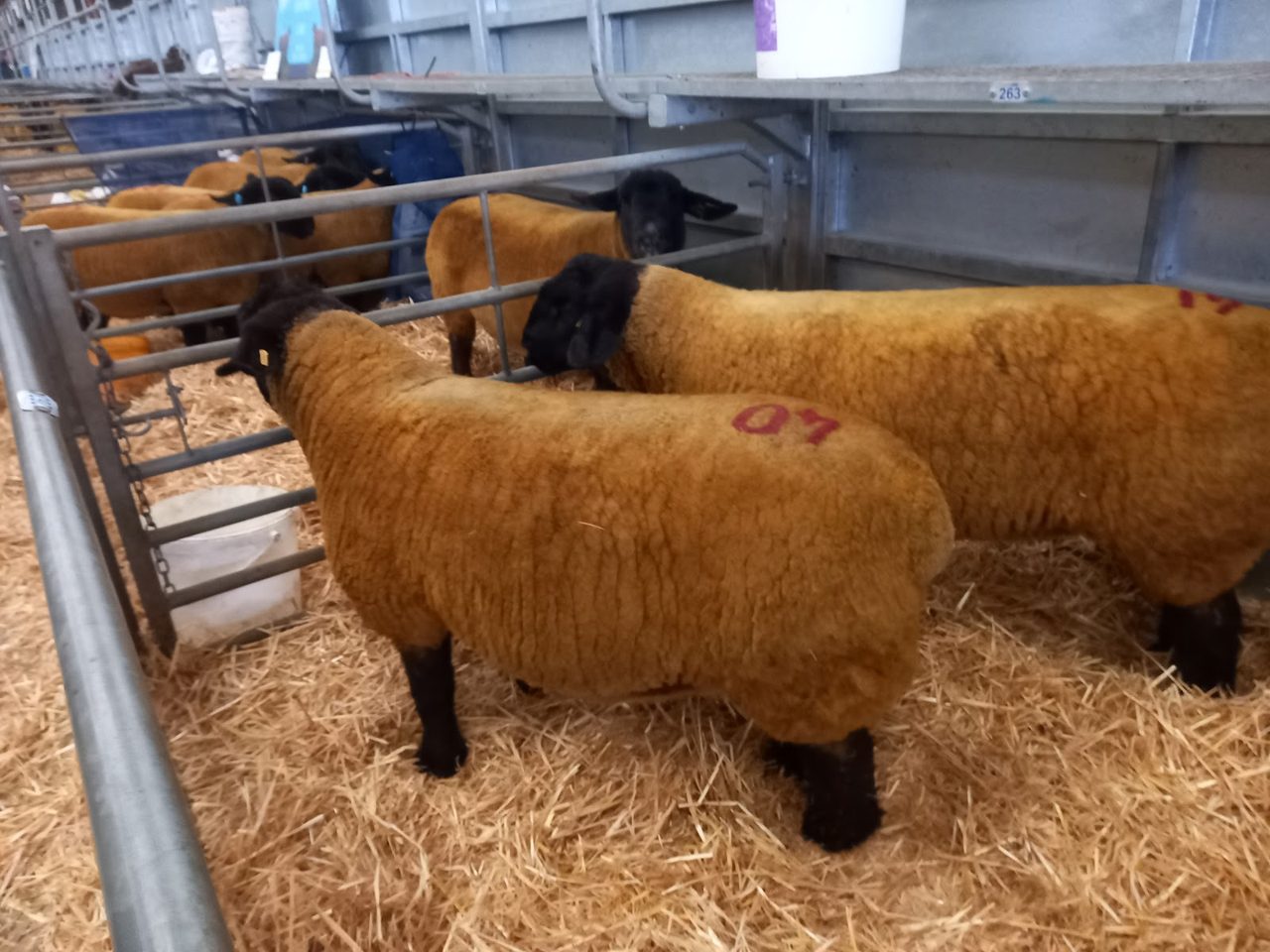 Monmouthshire Market Catering