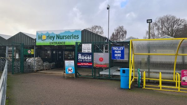Morley Nurseries (Wakering) Ltd