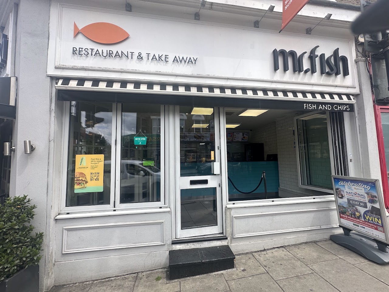 Mr Fish
