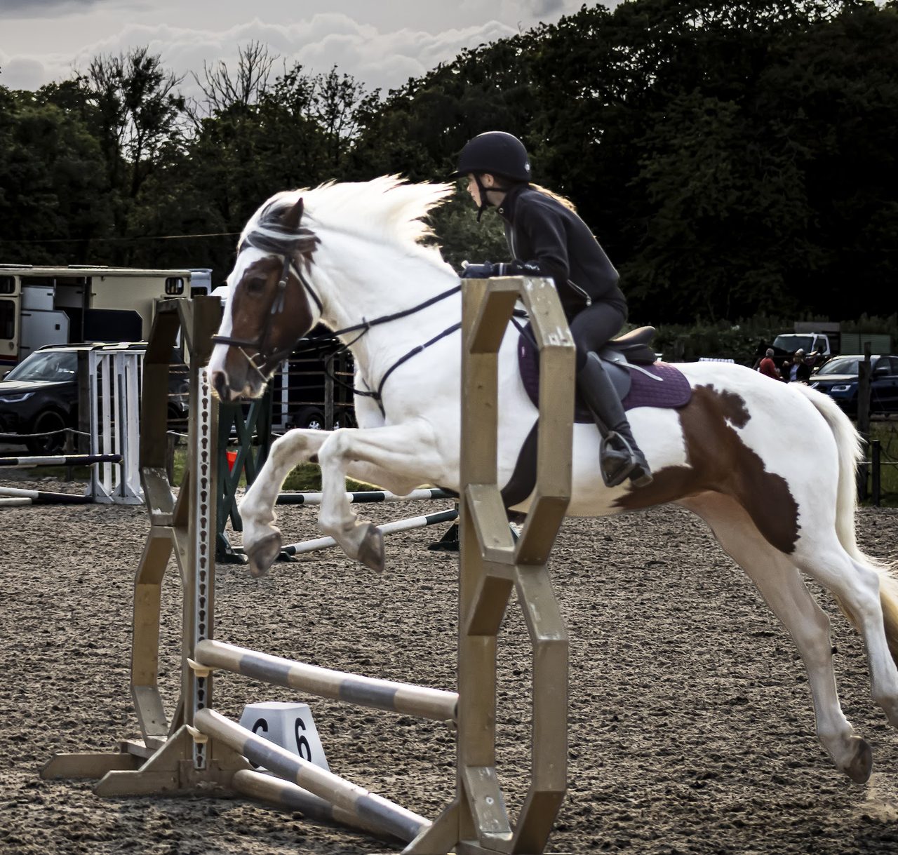 Muirmill  Equestrian Centre