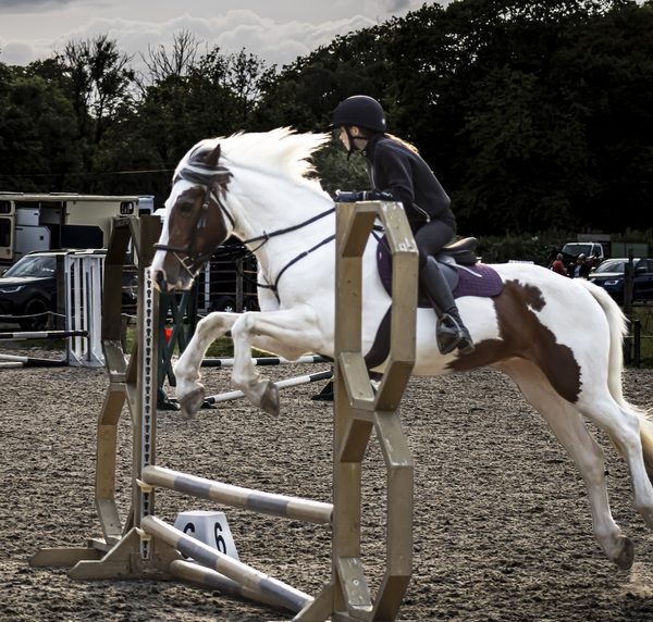 Muirmill  Equestrian Centre