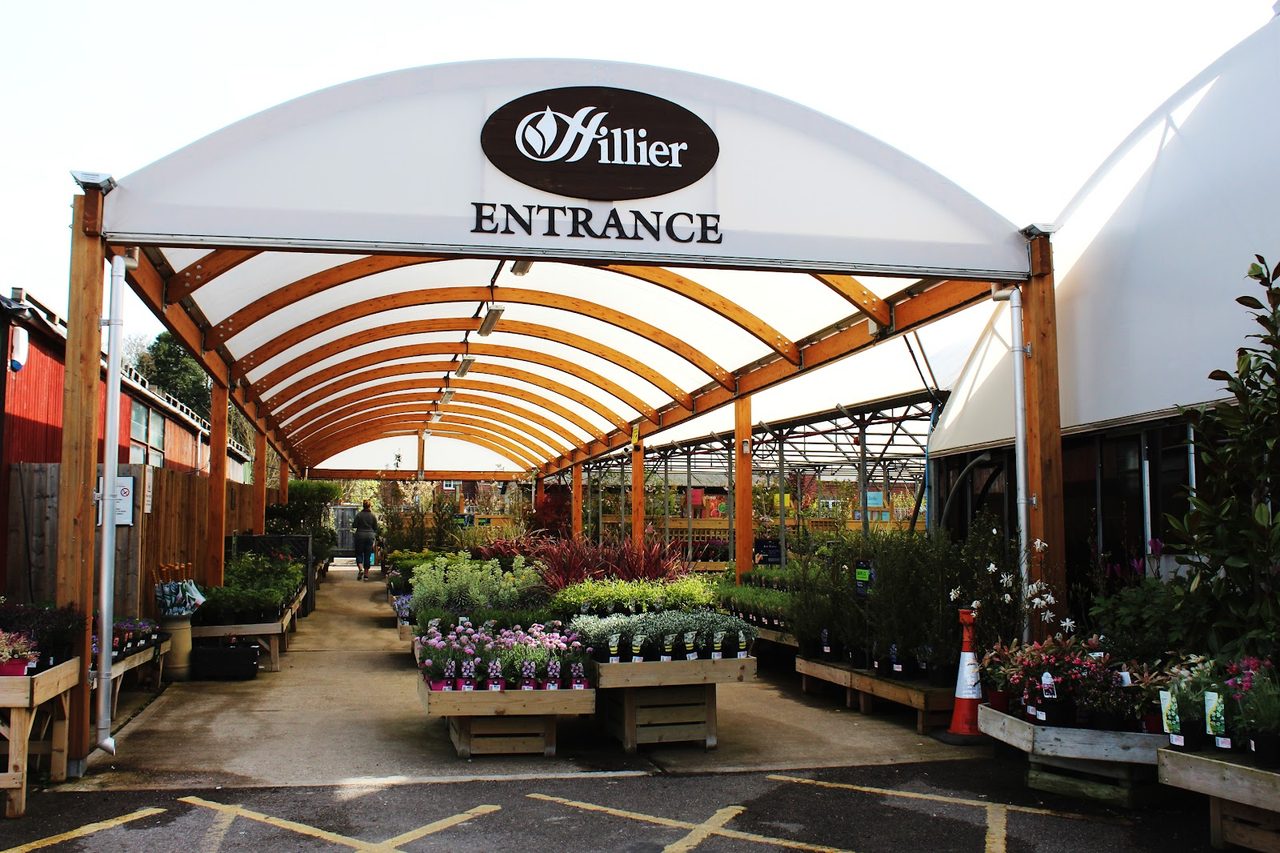 Mulberry & Thyme