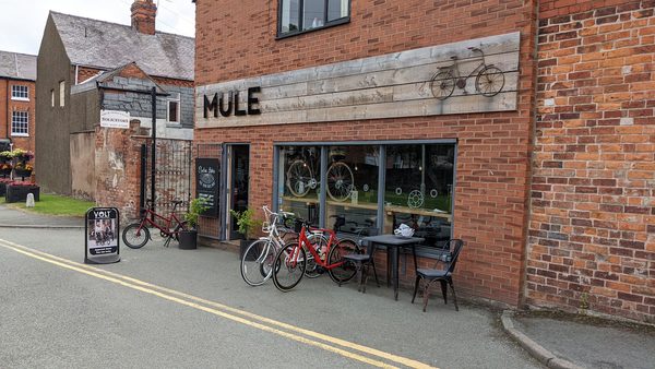 Mule