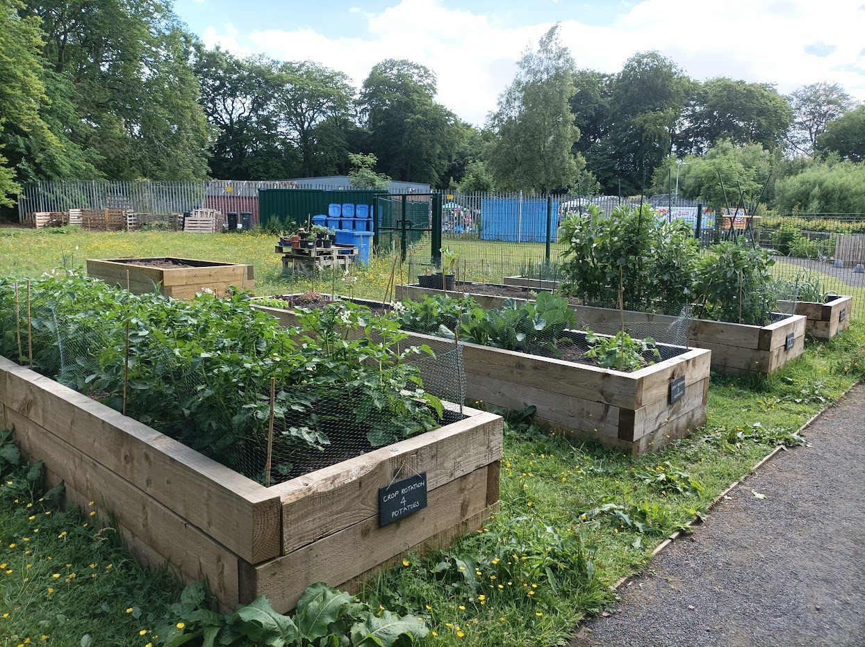 MuriestonCommunity Cafe