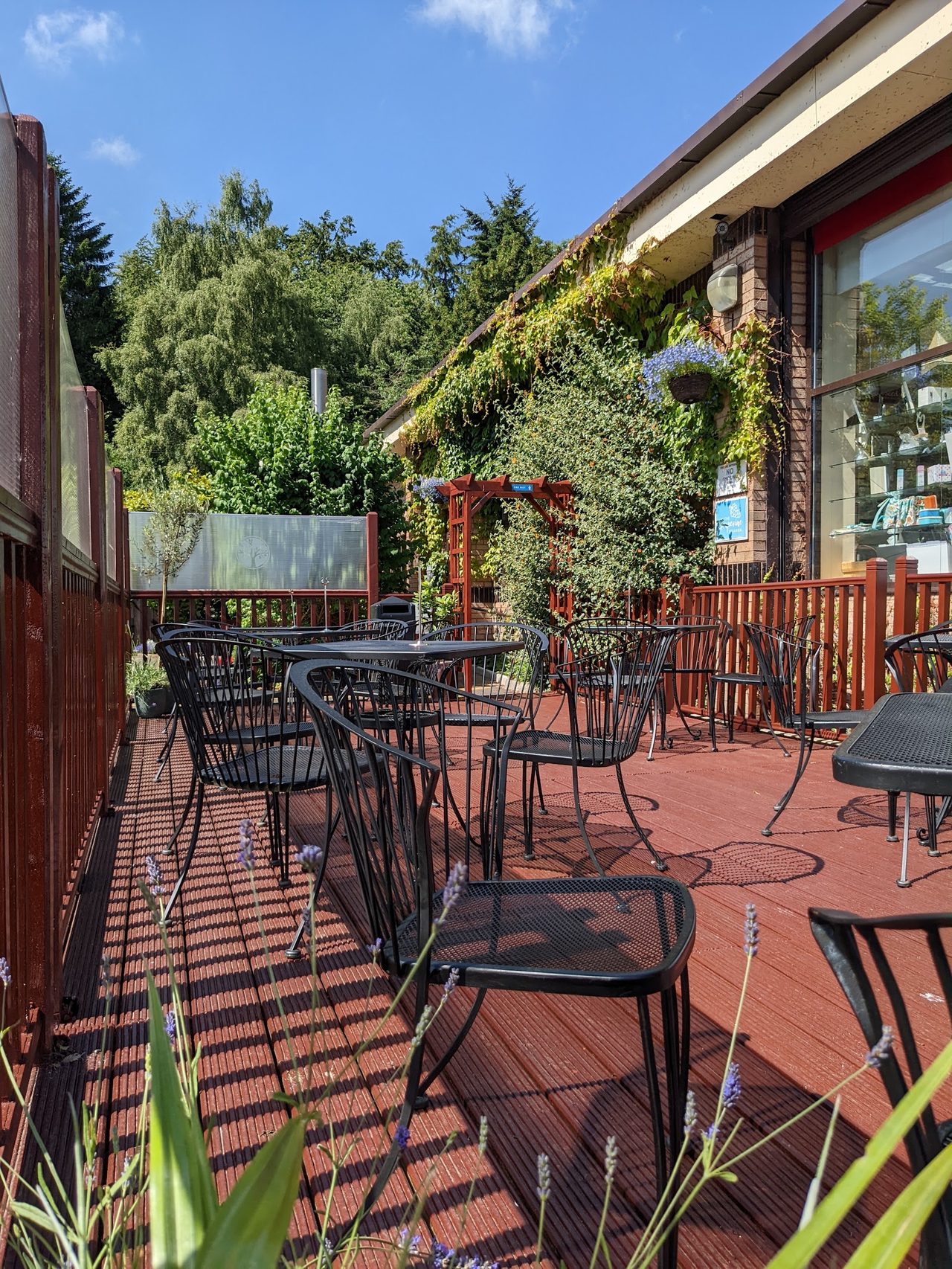 Mustard Seed Coffee Shop