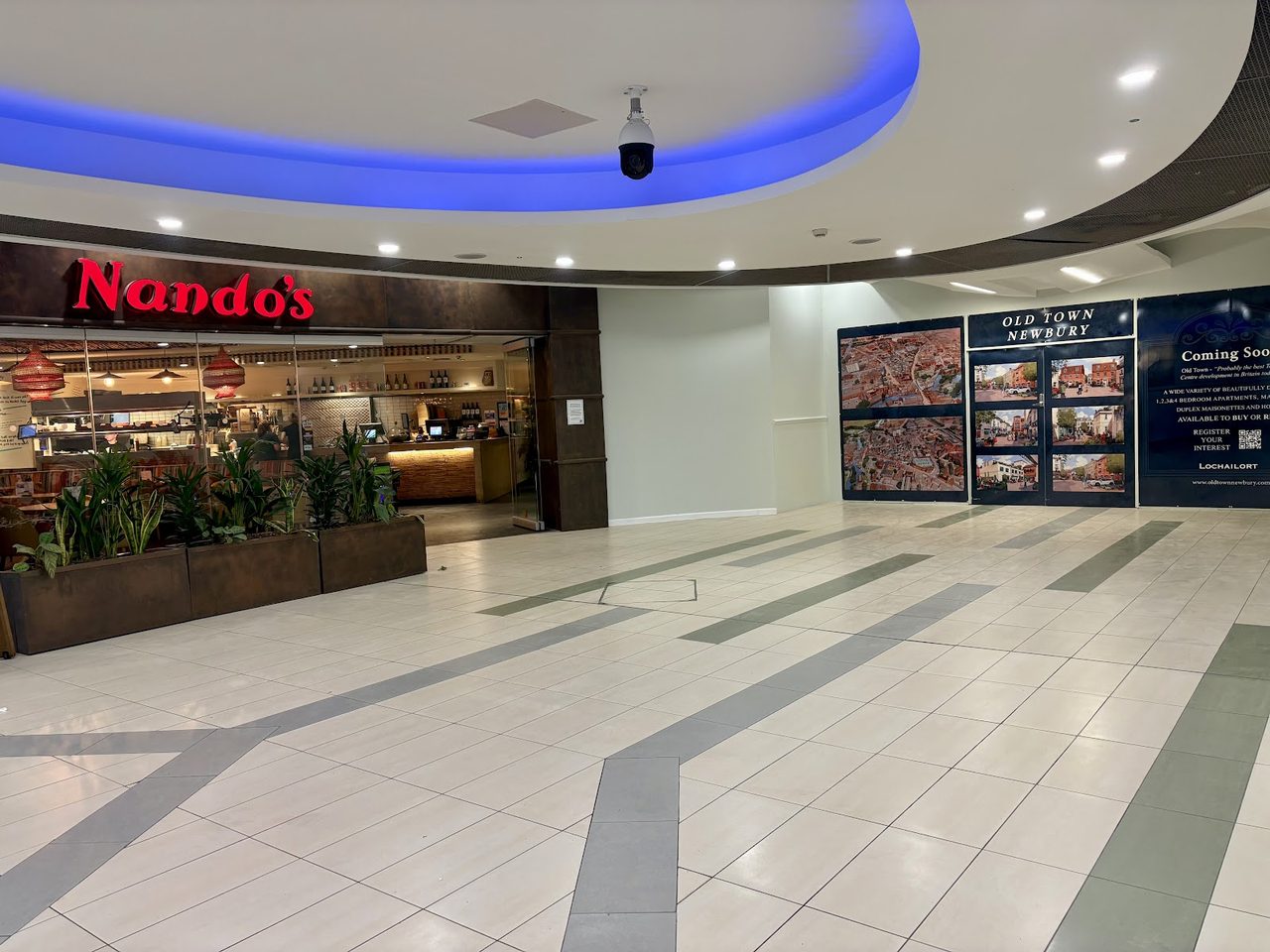 Nando's Chickenland Ltd
