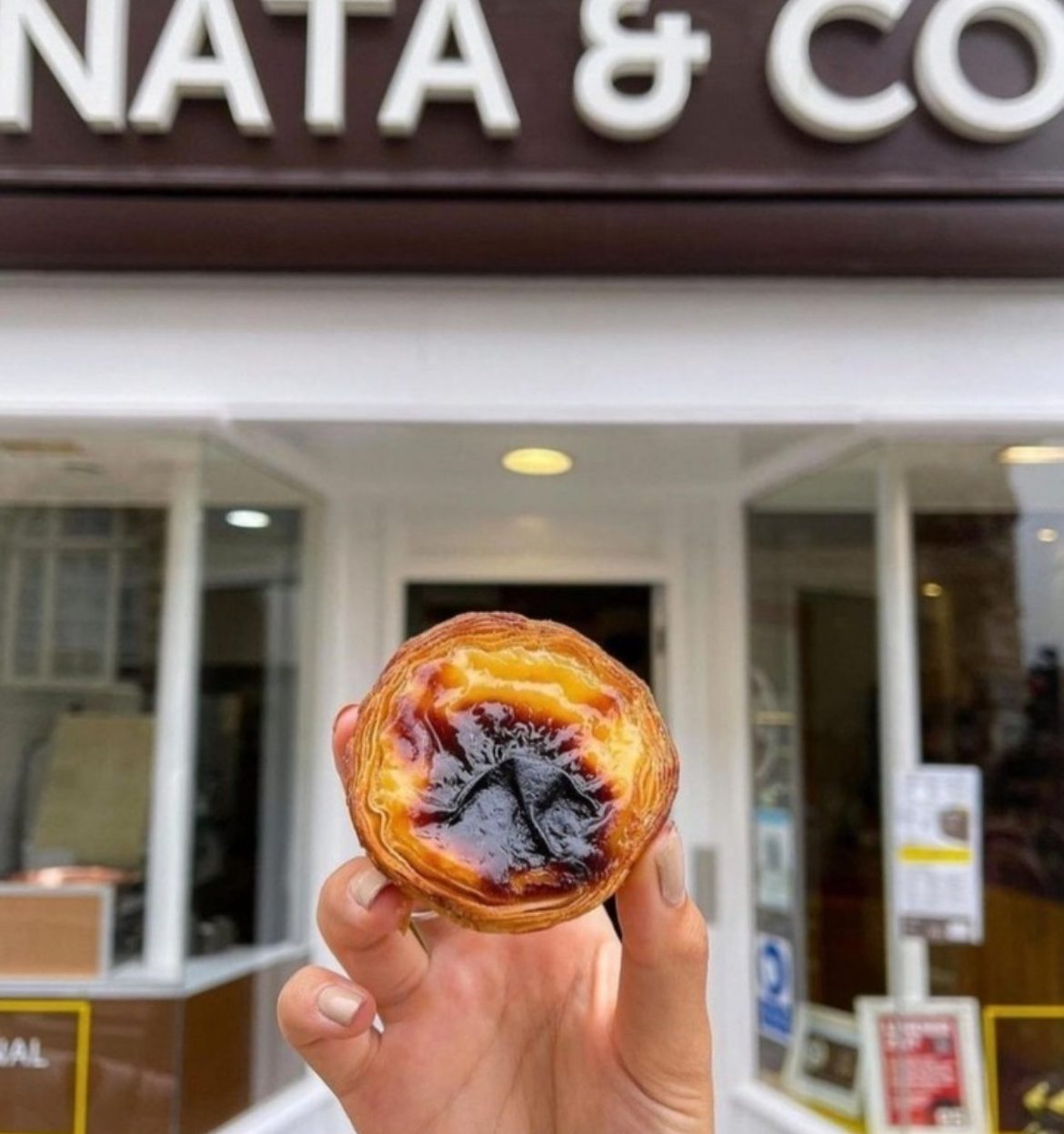 Nata & Co