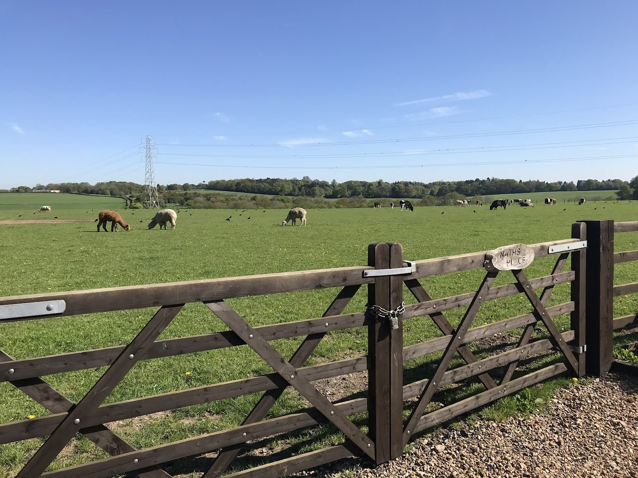 Nathan's Farm
