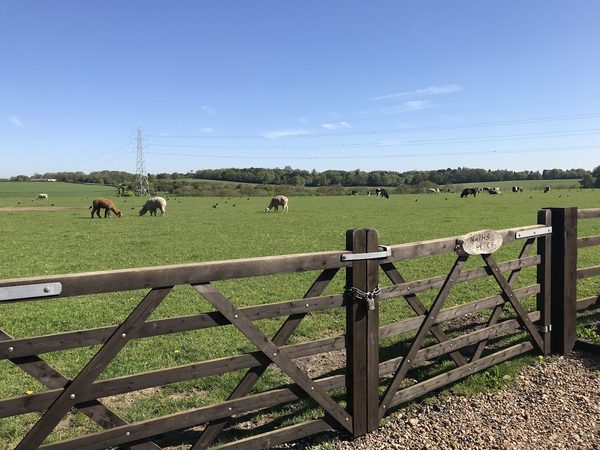 Nathan's Farm