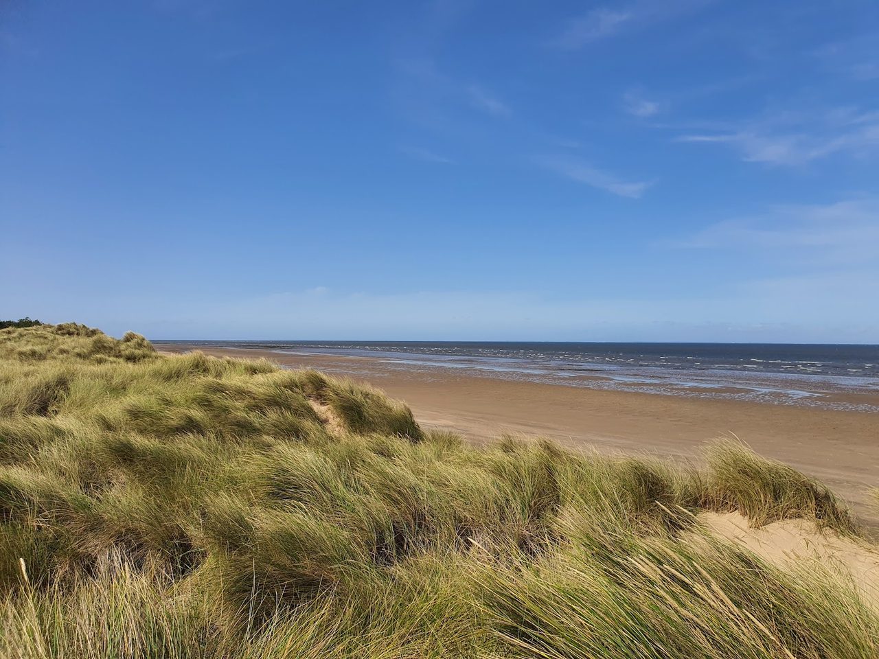 Norfolk Wildlife Trust