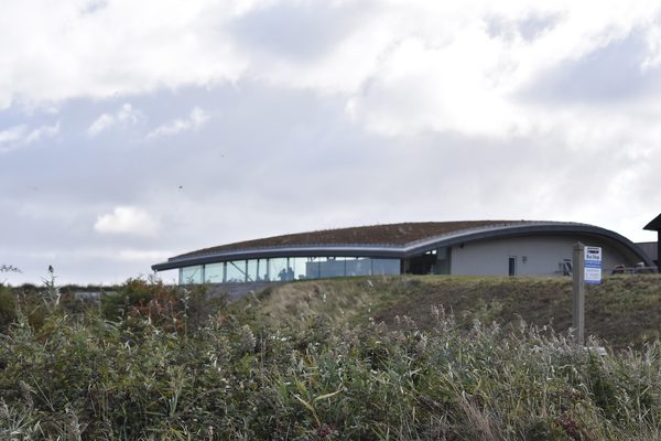 Norfolk Wildlife Trust Cley Marshes