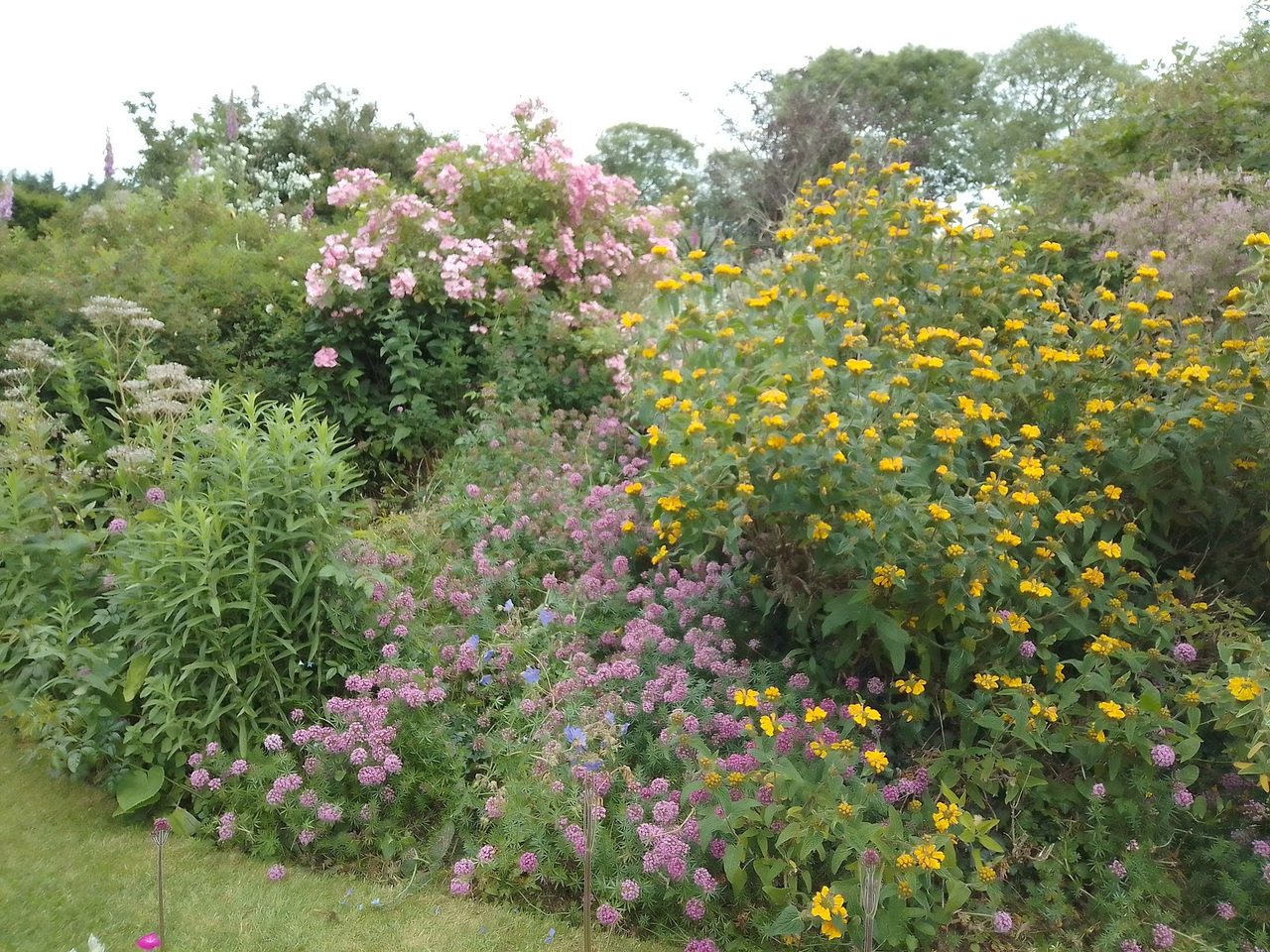Norwell Nurseries