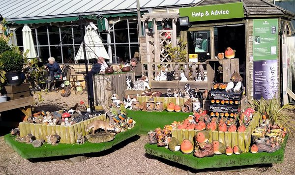Notcutts Garden Centre