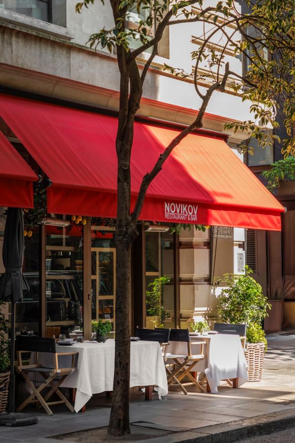 Novikov