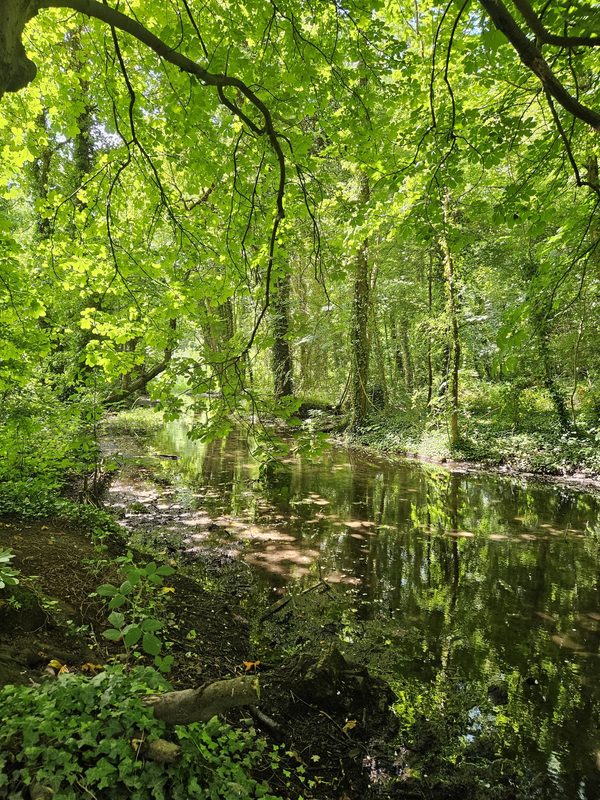 Oare Gunpowder Works Country Park