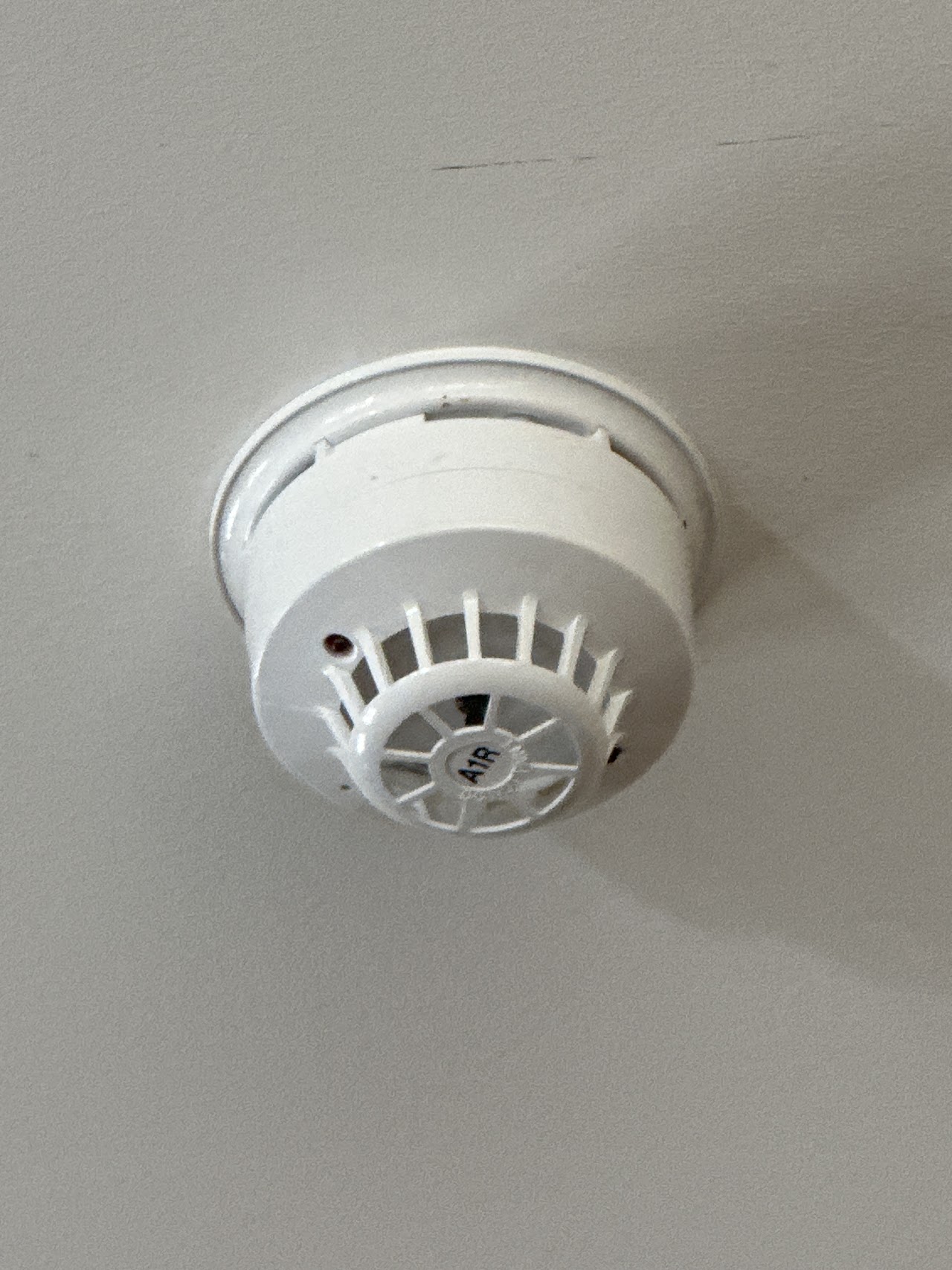 Olive Catering @ Apollo Fire Detectors