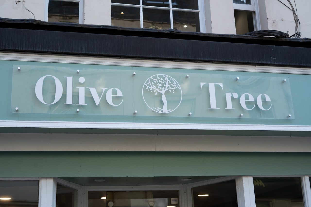 Olive Tree