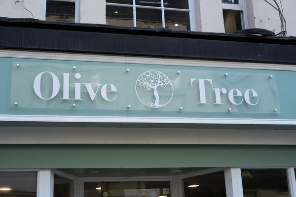 Olive Tree
