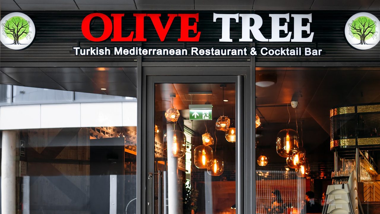 Olive Tree